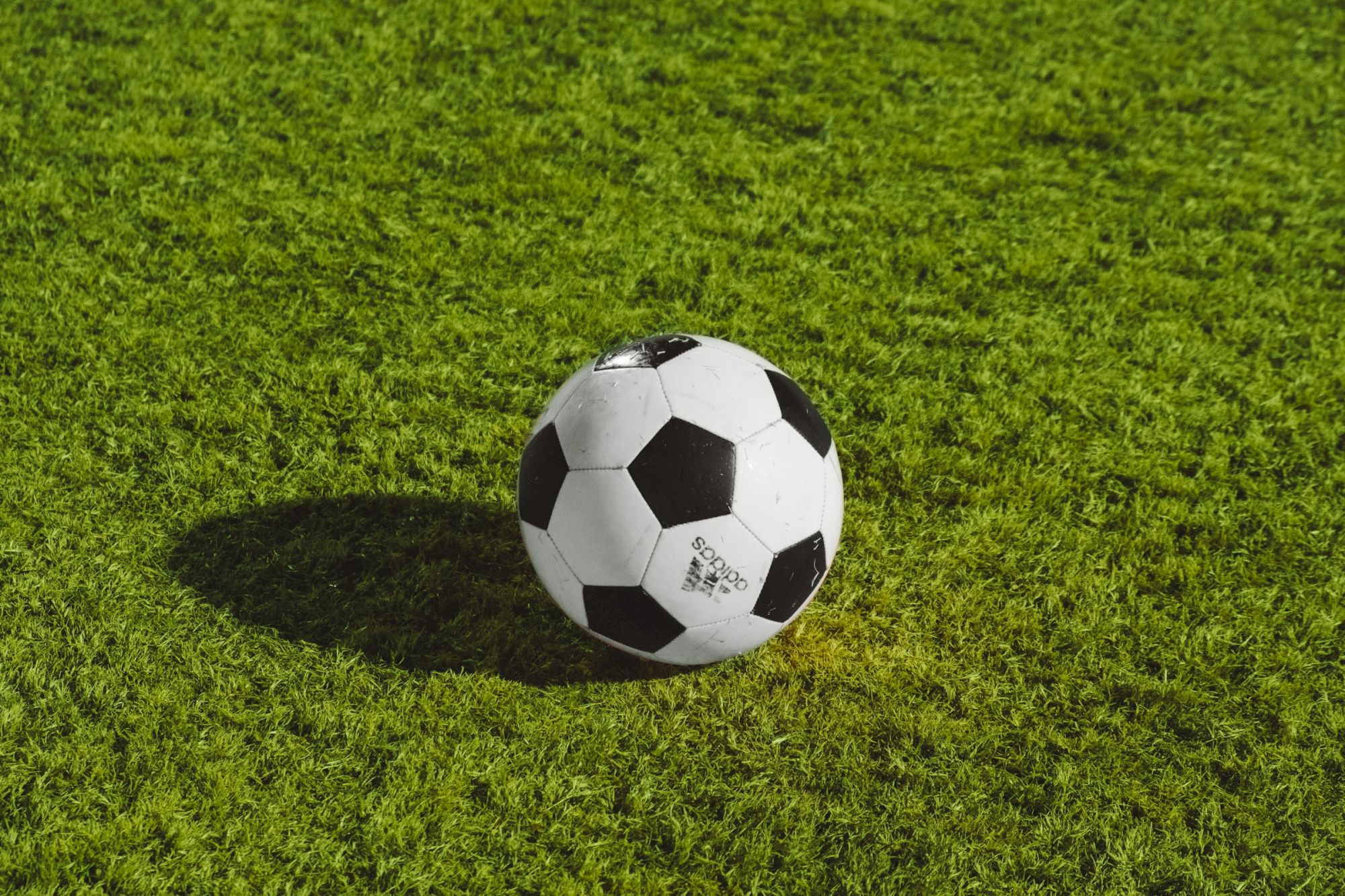 A classic black-and-white soccer ball sits on a sunlit green grass field, casting a shadow to the left.